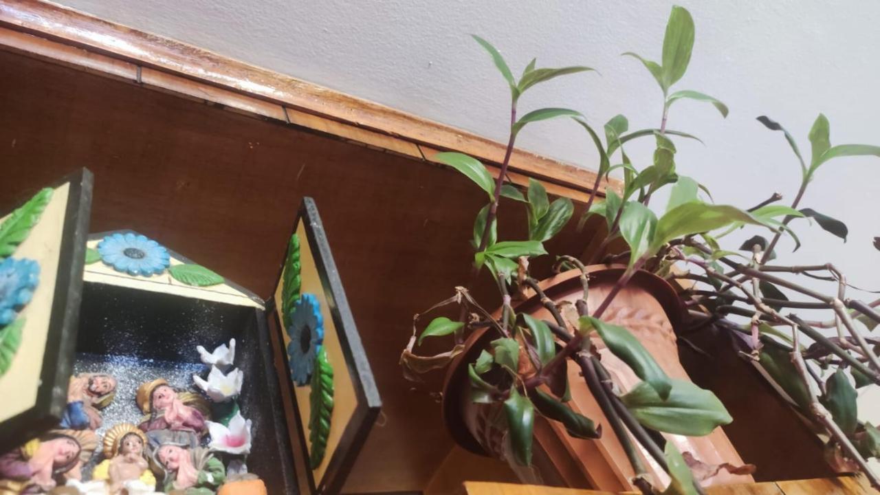 Brizio Guest House クスコ エクステリア 写真